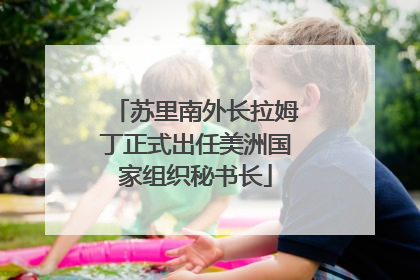 苏里南外长拉姆丁正式出任美洲国家组织秘书长