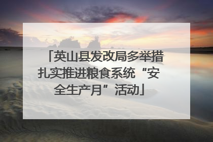 英山县发改局多举措扎实推进粮食系统“安全生产月”活动