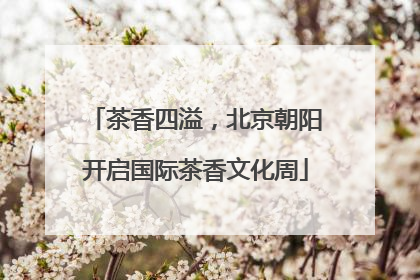 茶香四溢，北京朝阳开启国际茶香文化周