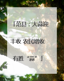 范县：大蒜迎丰收 农民增收有胜“蒜”
