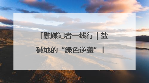 融媒记者一线行｜盐碱地的“绿色逆袭”