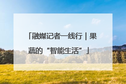 融媒记者一线行｜果蔬的“智能生活”