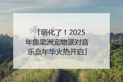 萌化了！2025年鱼梁洲宠物派对音乐嘉年华火热开启