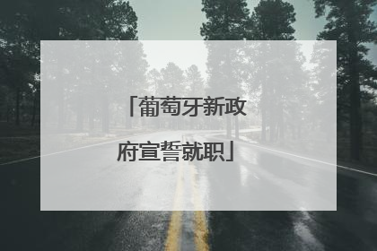 葡萄牙新政府宣誓就职
