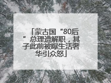 蒙古国“80后”总理遭解职，其子此前被曝生活奢华引众怒