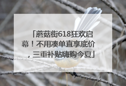 蘑菇街618狂欢启幕！不用凑单直享底价，三重补贴嗨购今夏