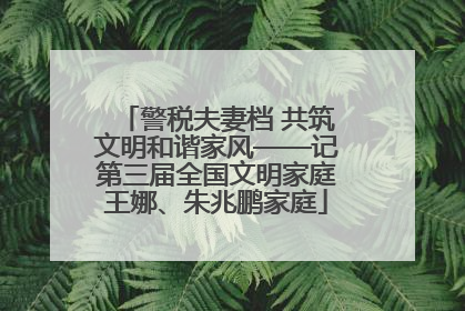 警税夫妻档 共筑文明和谐家风——记第三届全国文明家庭王娜、朱兆鹏家庭