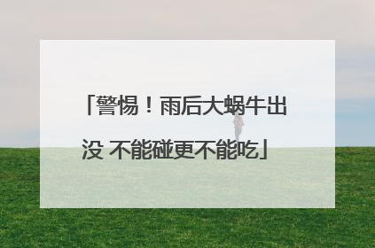 警惕！雨后大蜗牛出没 不能碰更不能吃