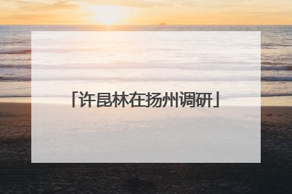 许昆林在扬州调研