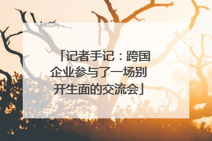 记者手记：跨国企业参与了一场别开生面的交流会