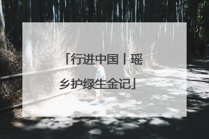 行进中国丨瑶乡护绿生金记