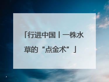 行进中国丨一株水草的“点金术”