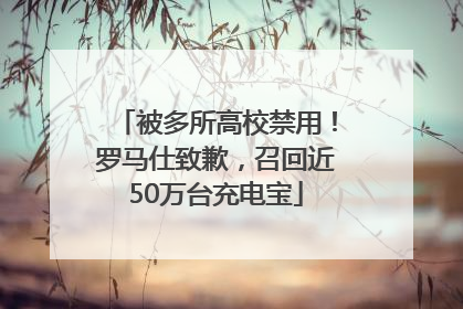 被多所高校禁用！罗马仕致歉，召回近50万台充电宝