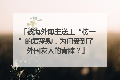 被海外博主送上“榜一”的爱采购，为何受到了外国友人的青睐？