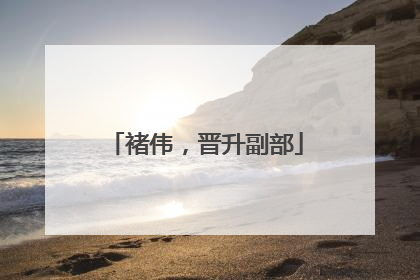 褚伟，晋升副部
