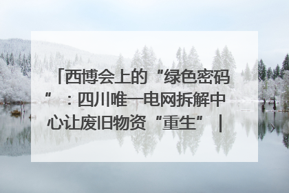 西博会上的“绿色密码”：四川唯一电网拆解中心让废旧物资“重生”｜西博寻“新”记