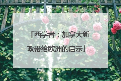 西学者：加拿大新政带给欧洲的启示