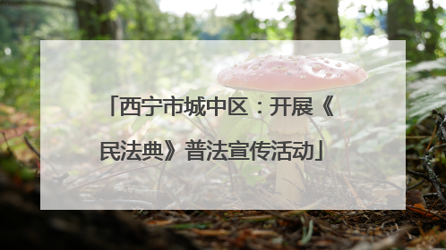 西宁市城中区：开展《民法典》普法宣传活动