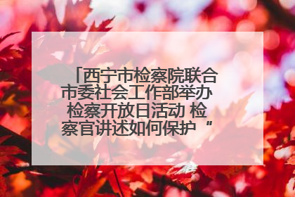 西宁市检察院联合市委社会工作部举办检察开放日活动 检察官讲述如何保护“少年的你”
