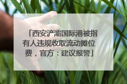 西安浐灞国际港被指有人违规收取流动摊位费，官方：建议报警