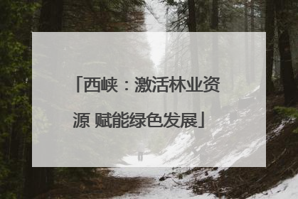 西峡：激活林业资源 赋能绿色发展