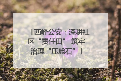 西峰公安：深耕社区“责任田” 筑牢治理“压舱石”