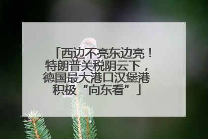 西边不亮东边亮！特朗普关税阴云下，德国最大港口汉堡港积极“向东看”