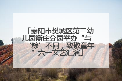 襄阳市樊城区第二幼儿园衡庄分园举办“与‘粽’不同，致敬童年”六一文艺汇演