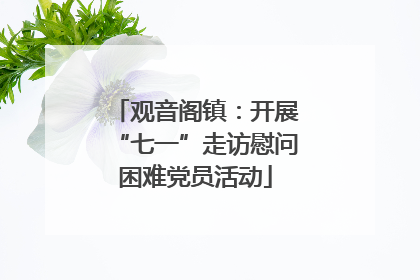观音阁镇：开展“七一”走访慰问困难党员活动