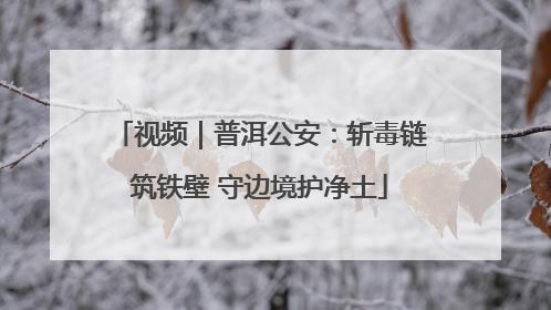 视频｜普洱公安：斩毒链筑铁壁 守边境护净土