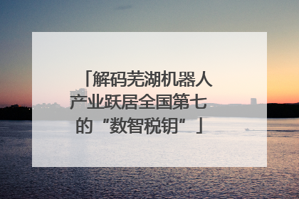 解码芜湖机器人产业跃居全国第七的“数智税钥”