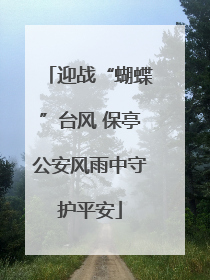 迎战“蝴蝶”台风 保亭公安风雨中守护平安