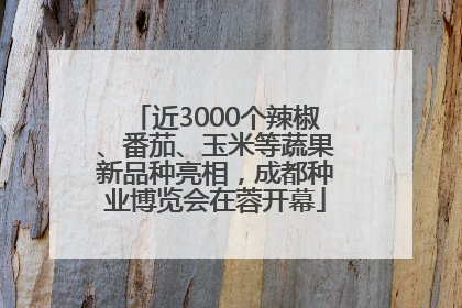 近3000个辣椒、番茄、玉米等蔬果新品种亮相，成都种业博览会在蓉开幕