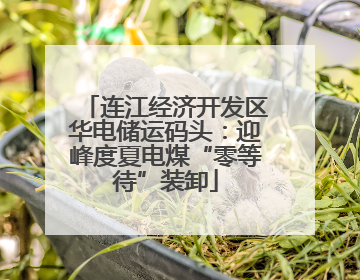 连江经济开发区华电储运码头：迎峰度夏电煤“零等待”装卸