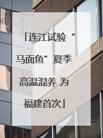 连江试验“马面鱼”夏季高温混养 为福建首次