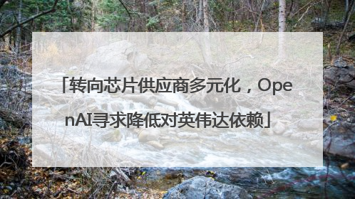 转向芯片供应商多元化，OpenAI寻求降低对英伟达依赖