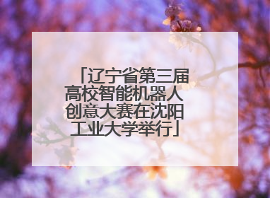 辽宁省第三届高校智能机器人创意大赛在沈阳工业大学举行
