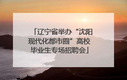 辽宁省举办“沈阳现代化都市圈”高校毕业生专场招聘会