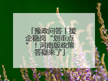豫政问答丨援企稳岗“划重点”！河南版政策答疑来了