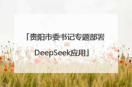贵阳市委书记专题部署DeepSeek应用