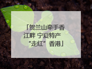 贺兰山牵手香江畔 宁夏特产“走红”香港