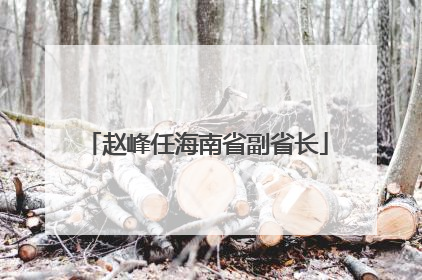 赵峰任海南省副省长