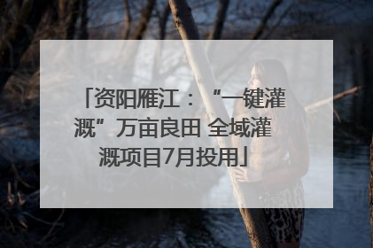 资阳雁江：“一键灌溉”万亩良田 全域灌溉项目7月投用
