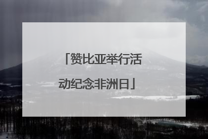 赞比亚举行活动纪念非洲日