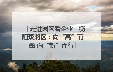 走进园区看企业｜衡阳蒸湘区：向“高”而攀 向“新”而行