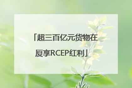超三百亿元货物在厦享RCEP红利