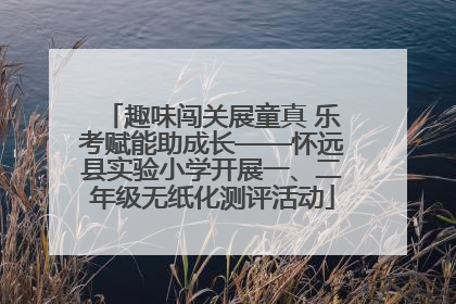 趣味闯关展童真 乐考赋能助成长——怀远县实验小学开展一、二年级无纸化测评活动