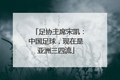 足协主席宋凯：中国足球，现在是亚洲三四流