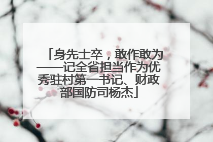 身先士卒，敢作敢为——记全省担当作为优秀驻村第一书记、财政部国防司杨杰
