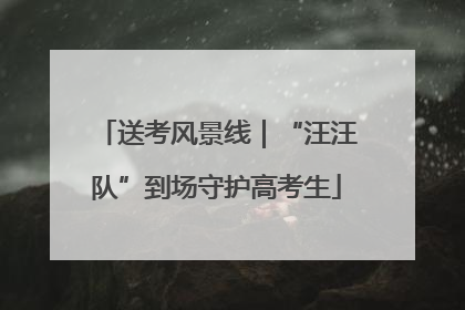 送考风景线｜“汪汪队”到场守护高考生